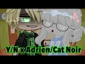 x Noir Part 1 Rude Adrian AU