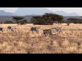 Kenya Trip - Drive Three