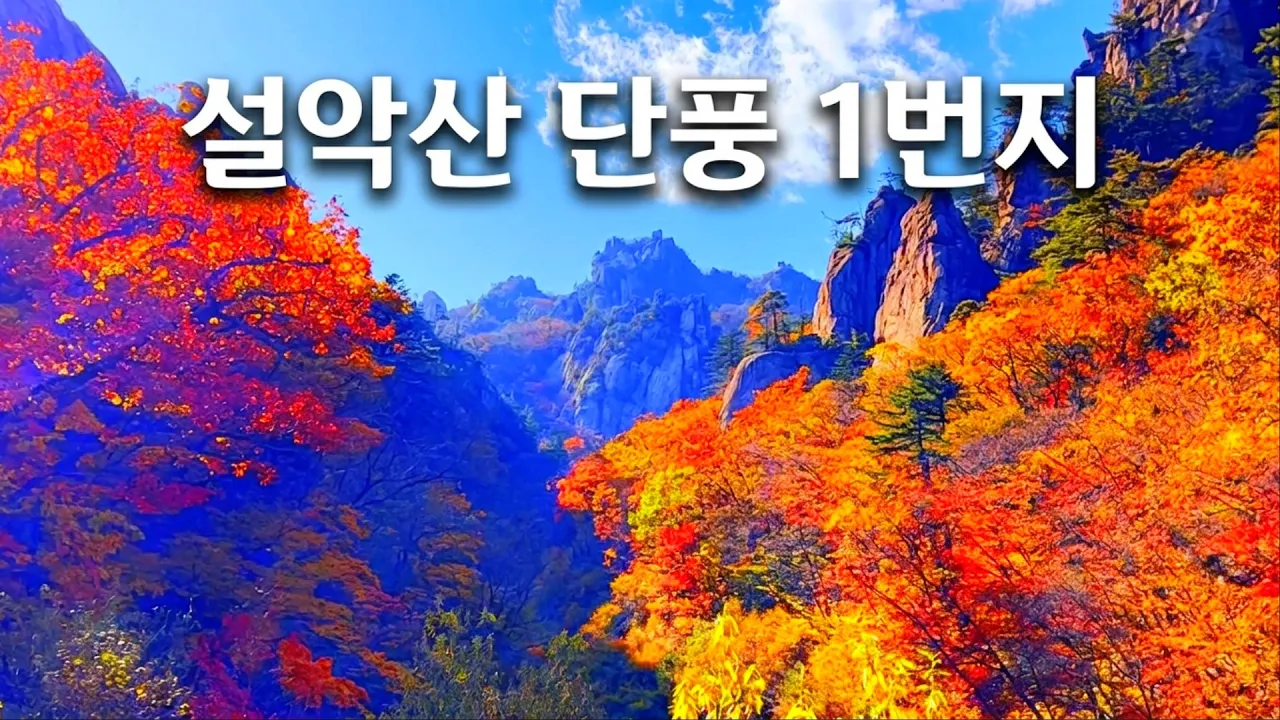 깊어가는 가을 설악을 채색한 단풍, 우리나라 단풍1번지 설악산 한계령 Autumn Leaves on Mt. Seorak in South Korea サムネイル