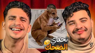 حاول ألا تضحك 😂 أفضل 50 فيديو مضحك في العالم | أصعب تحدي ضحك 2026