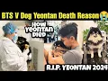 Real Reason for Yeontan Death How Yeontan Died BTS V Dog Yeontan Death Reason