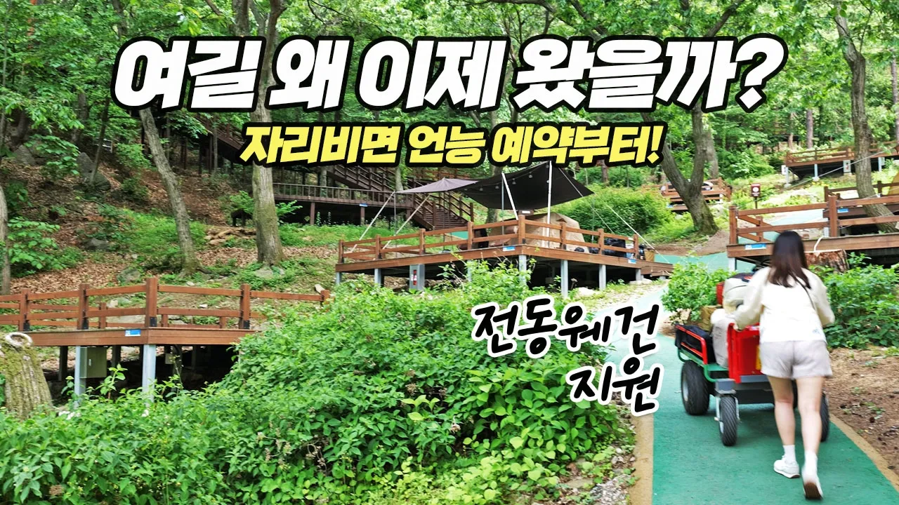 캠비 싸고, 데크 간격좋고, 전동 웨건까지! 용인자연휴양림 캠핑장 썸네일