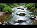 Lagu Water Sounds For Sleep Therapy | Suara Gemericik Air Sungai