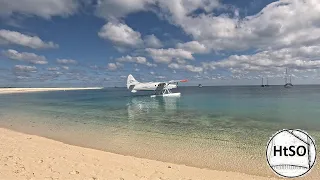 Paradise Revisited  |  Ep. 297