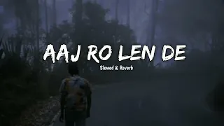 aaj ro len de slowed u0026 reverb shaarib sabri play bass