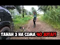 Download Lagu Rutinitas di Kebun Sawit: Nebas Rumput, Lanjut Cek Tanah 3 Hektar Harga 40 Juta!