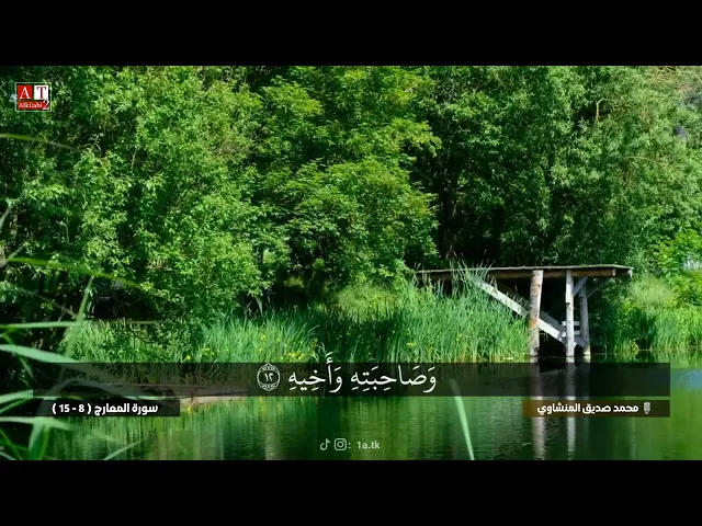 ⁣يَوْمَ تَكُونُ السَّمَاءُ كَالْمُهْلِ .. || راائعة من روائع الشيخ محمد صديق المنشاوي