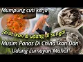 Download Lagu MUSIM PANAS DI CHINA IKAN DAN UDANG LUMAYAN MAHAL, ALHAMDULLILAH HASIL PERANGKAP DAPAT  BANYAK