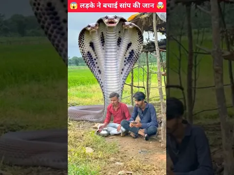 लड़के ने बचाई सांप की जान 🤯😱 mini wood toy-woodworking art skill hands crafts #ai #shorts #trending