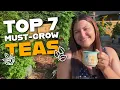 7 Plants Every Tea Garden Needs