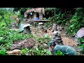 Download Lagu The stone pillar was completed. A heavy rain swept away the animal | Orphans Boys Daily Life