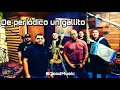 De periódico un gallito-Legado 7
