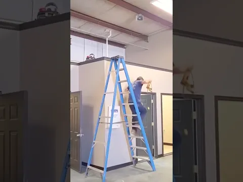 Professionals 💪