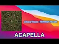 Johnny Venus - RUNWAY KILLER (ACAPELLA) Vocals Only