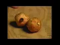 Ty Ty Nursery Television Commercial 1996 Georgia