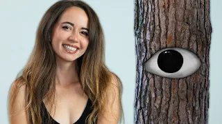 the tree situation is crazy