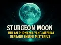 Download Lagu Sturgeon Moon: Bulan Purnama yang Membuka Gerbang 9 Agustus 2025