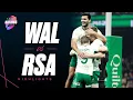 Lagu HIGHLIGHTS | Wales South Africa | Springboks nil Wales in record defeat!