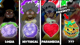 All 13 Devil Fruit Types in One Piece Explained