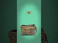 What to pack in case of an emergency evacuation
