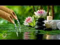 Download Lagu Healing Sleep Music 🌿 Soothing Piano Music and Nature Sounds, Deep Sleep, Calming Music, Spa Music