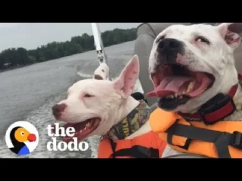Big Sister Helps Deaf Brother In The Sweetest Ways | The Dodo