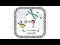 Search Optimization in Artificial Intelligence Genetic Algorithm with Classical Examples