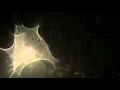Thunderstorm during tornado - Dothan AL