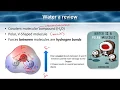 Properties of Water