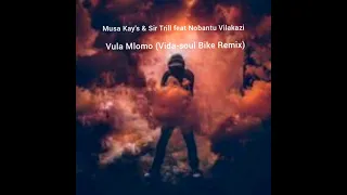 musa keys vula mlomo vida soul bike remix