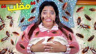 اخيرا عملنا مقالب لمدة 24 ساعة في المزرعة الجديدة وقعوا كوارث 