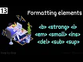 Formatting elements in HTML bold strong small ins tags etc