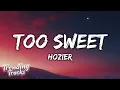 Download Lagu Hozier - Too Sweet (Lyrics) you're too sweet for me