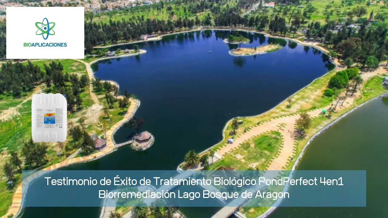 POND PERFECT 4 IN 1 - Solución Biológica para Biorremediación Lagos y Estanques