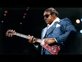 Lagu Albert King \u0026 John Mayall - Born Under A Bad Sign (Live 1982)