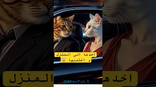 مياو تاقت فيه ولاكن اغتصبها و غضرها و خدا شرافها 