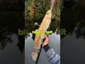 We Caught a Fish on the World s Biggest Lure