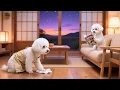 Download Lagu Naughty Baby Puppy makes a mess in the room 🐾, someone help the Mom Dog 🐶🧹| Funny dog ​​videos