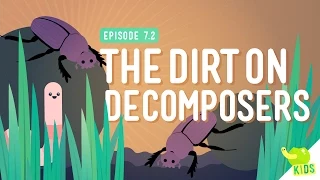 The Dirt on Decomposers Crash Course Kids 2