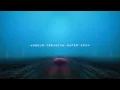 ⁠Chris Brown vs Hayla - Angels Treading Water 2024
