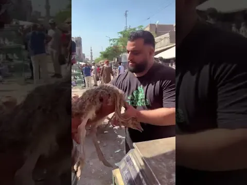 Ali rescues animals at the animal trading market #horse