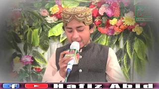 خالی نہ موڑی طیبہ دے سائیاں طیب طاہر حمیدی سیالوی بہت ہی پیارا انداذ اور پیاری آواذ پیارے دوستوں ک 