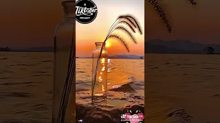الدنيا لعبت بيه  دائما  انا الضحية    دندنها