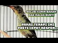 Download Lagu TERAPI KOLIBRI NINJA BAHAN/MALAS BUNYI CEPAT RESPON!!!!