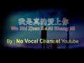 Download Lagu Wo Shi Zhen De Ai Shang Ni  ( 我是真的爱上你 ) HD Karaoke Mandarin - No Vocal