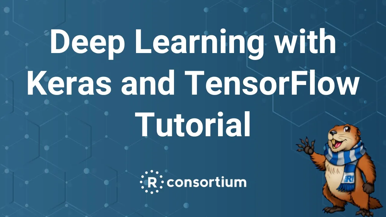 useR! 2020: Deep Learning with Keras and TensorFlow (S. Elsinghorst), tutorial