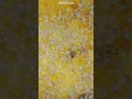Download Lagu Chips under the microscope  #microscope #science