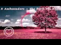 X Ambassadors - The Devil You Know