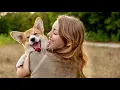 Pet adoption 23 million American households added a pet during the coronavirus pandemic