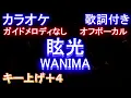 【オフボーカル女性キー上げ+4】眩光 / WANIMA【カラオケ ガイドメロディなし 歌詞 フル full】ドラマ「ナンバMG5」主題歌